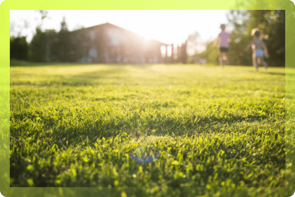 Make the Most of Your Energy-Efficient Backyard This Summer